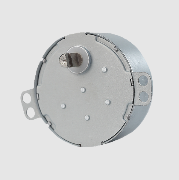 Synchronous Motor